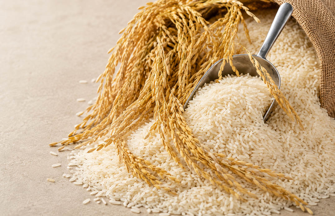 Rice and Millets
