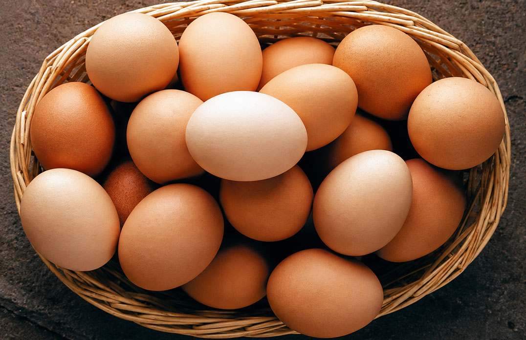 Egg Products