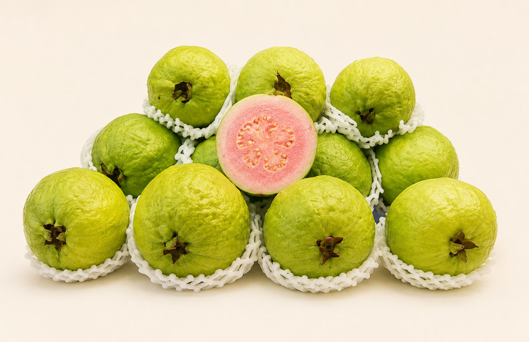 Guava