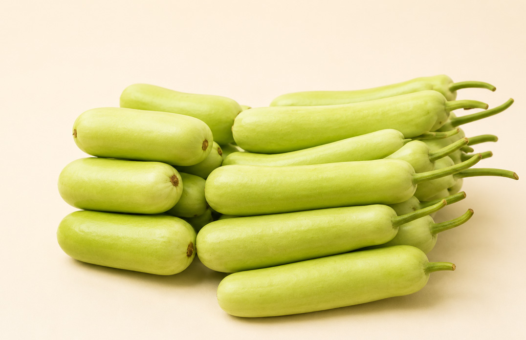 Bottle Gourd