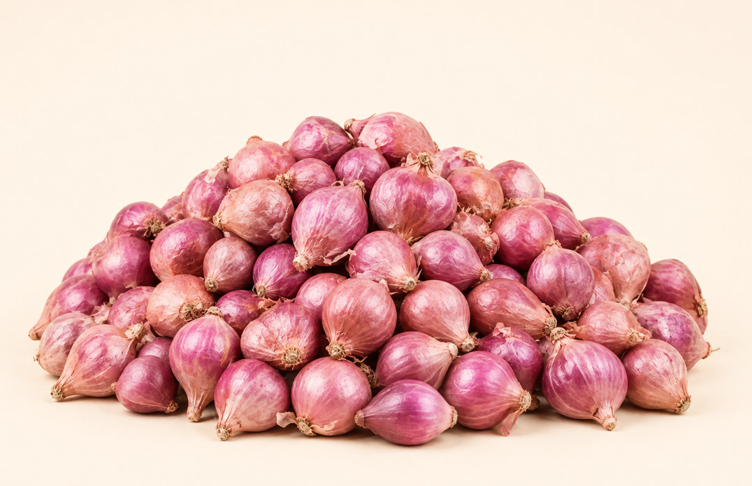 Shallots Onion