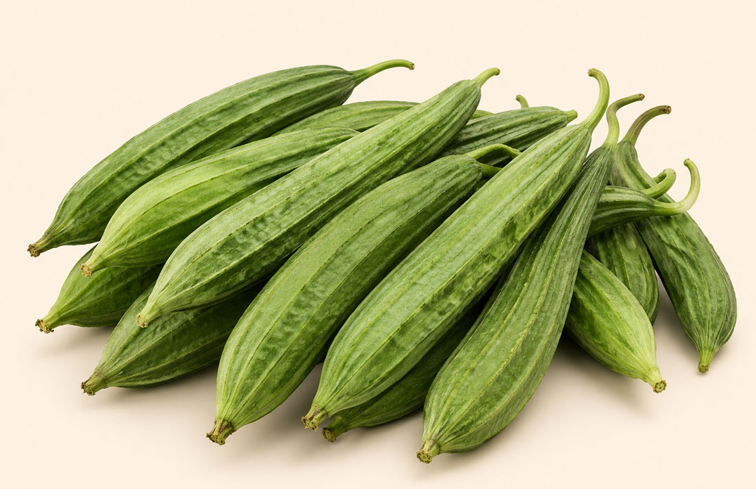 Ridge Gourd