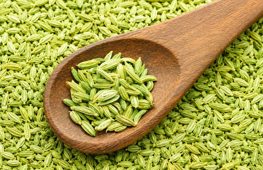Fennel Seeds