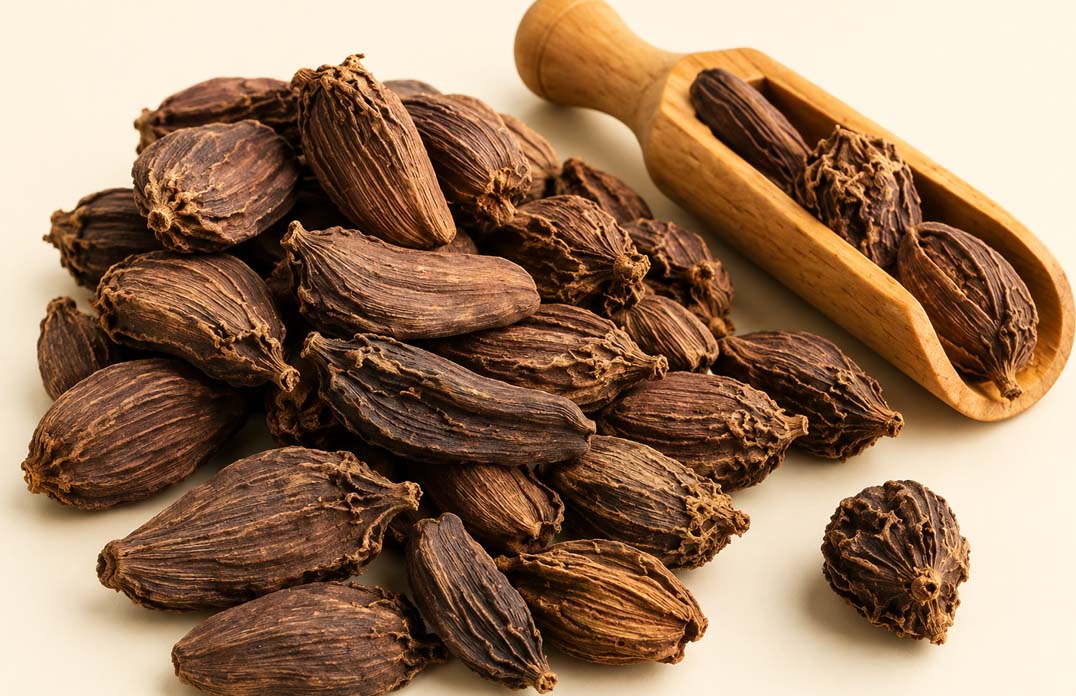 Black Cardamom
