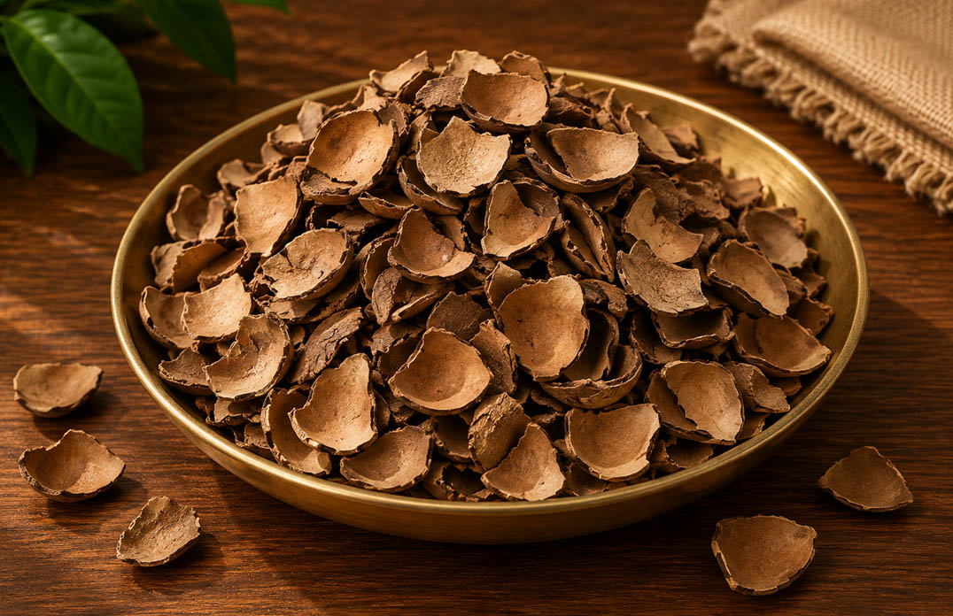 Coconut Shell Chips 70mm